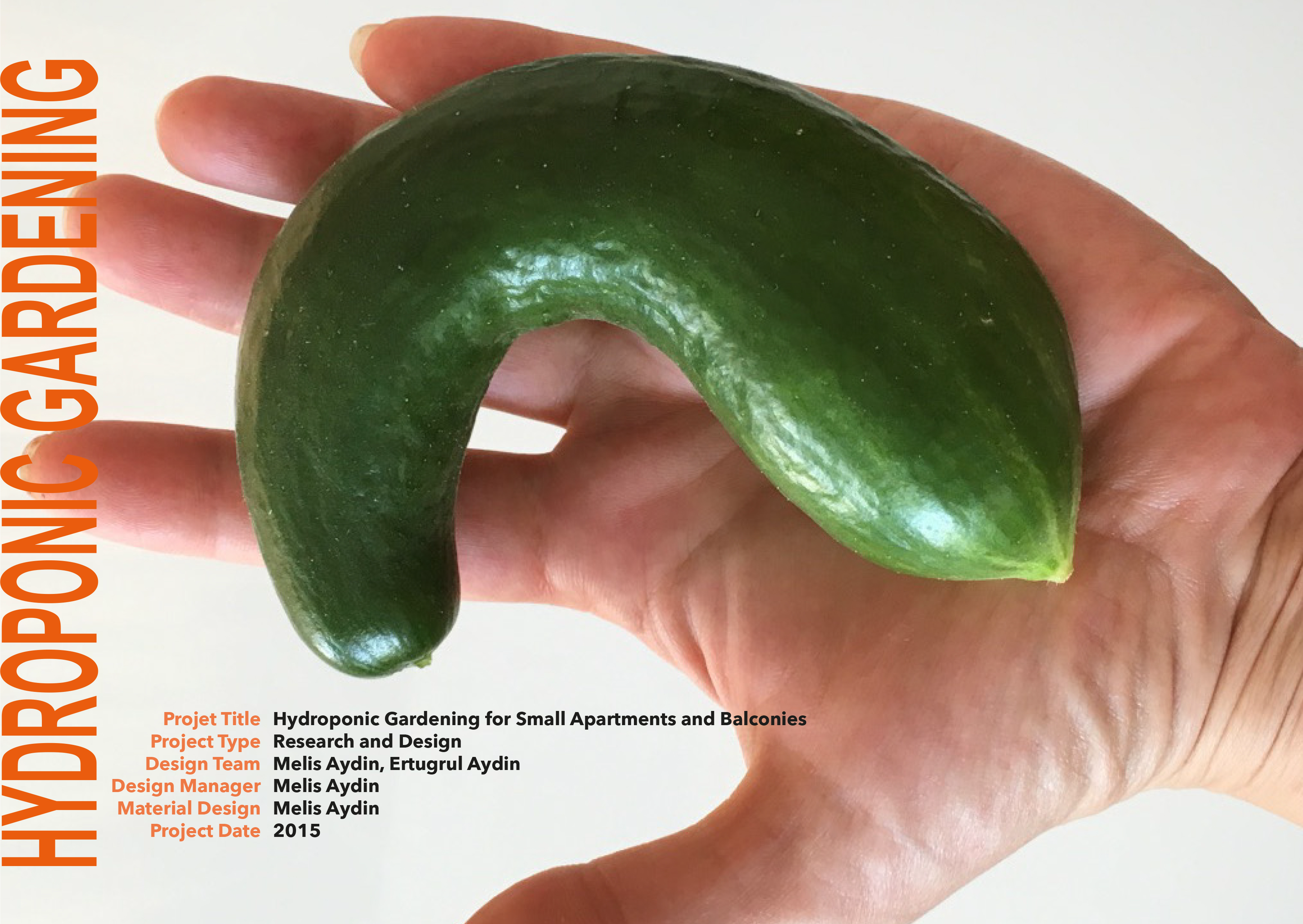 Hydroponic Gardening